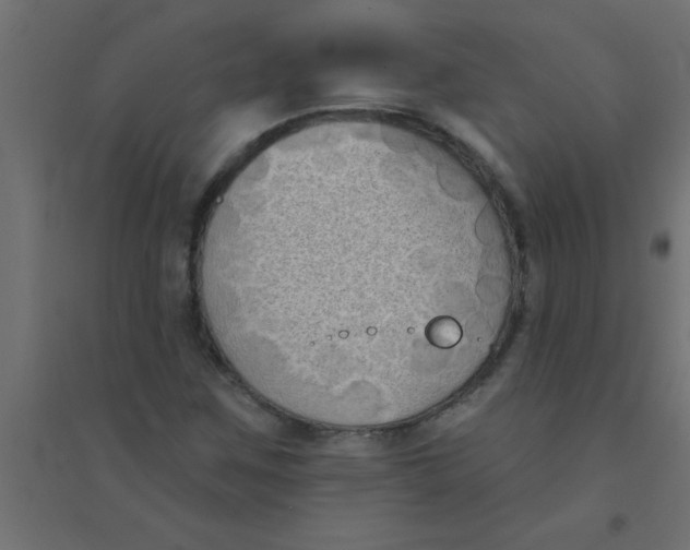 X0000094351259200711241907