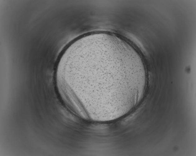 X0000094351260200711241907