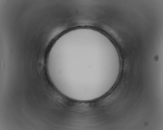 X0000094351261200711241907