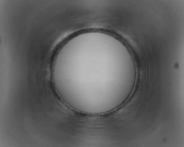 X0000094351262200711241907