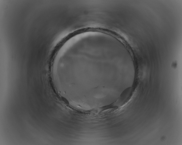 X0000094351263200711241907