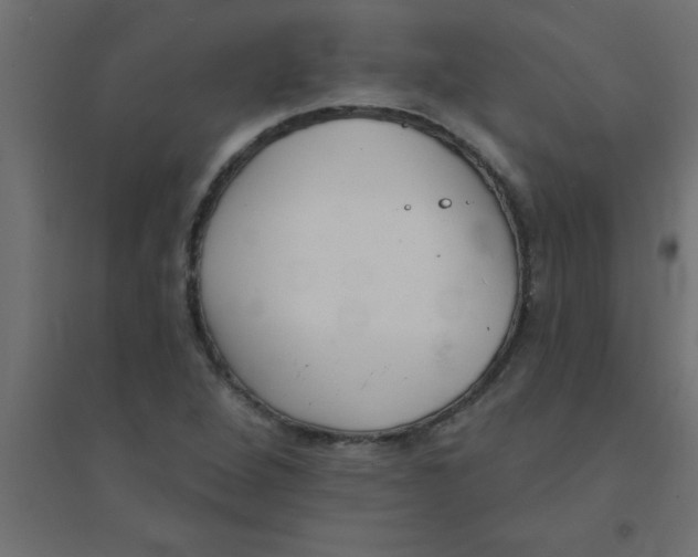 X0000094351264200711241907