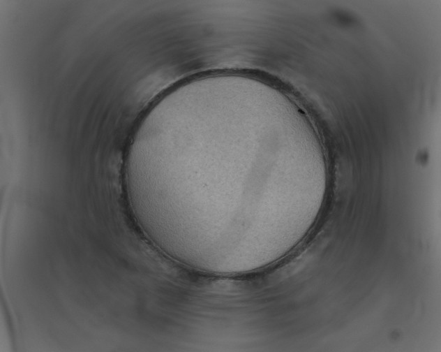 X0000094351265200711241907