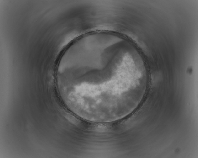 X0000094351266200711241907