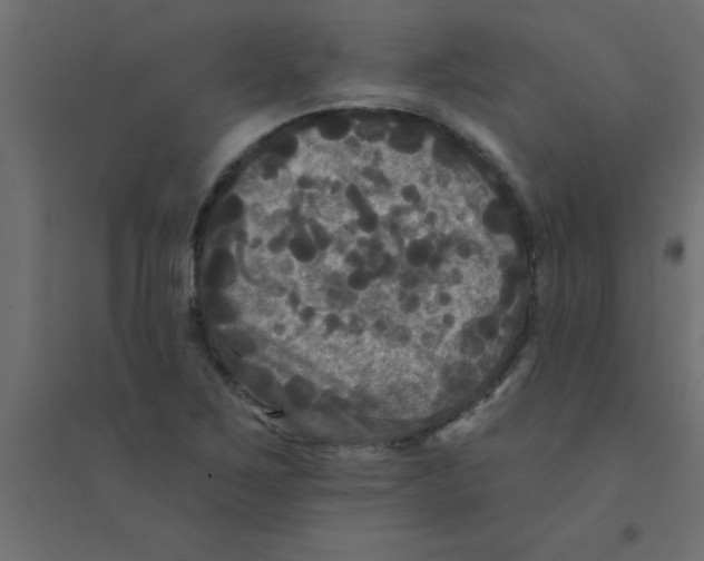 X0000094351267200711241907