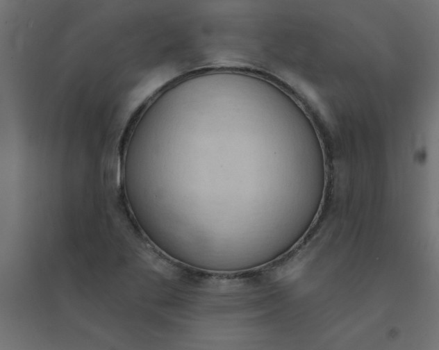 X0000094351269200711241907