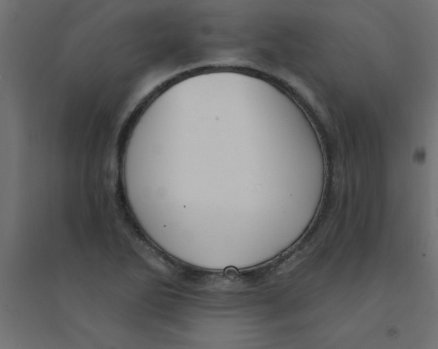 X0000094351270200711241907