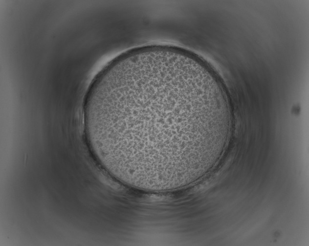 X0000094351271200711241907