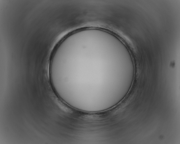 X0000094351272200711241907