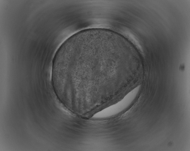 X0000094351276200711241907