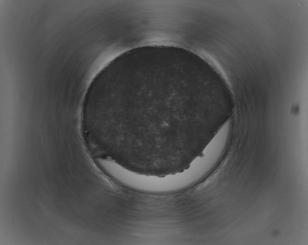 X0000094351277200711241907