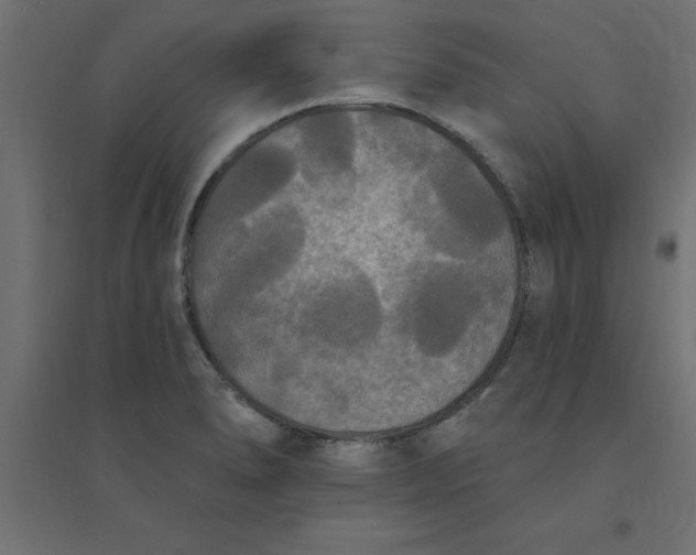 X0000094351278200711241907