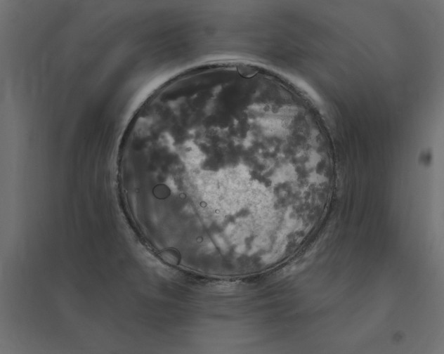 X0000094351279200711241907