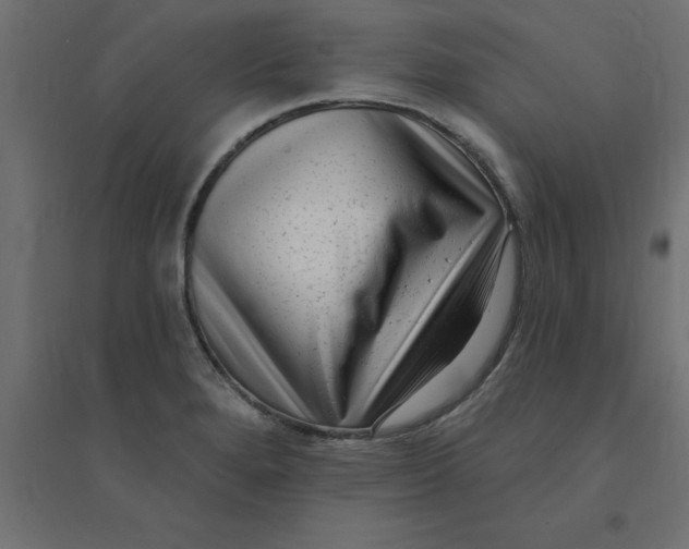 X0000094351280200711241907