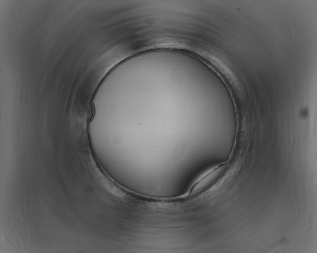 X0000094351281200711241907