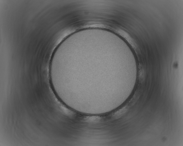 X0000094351282200711241907