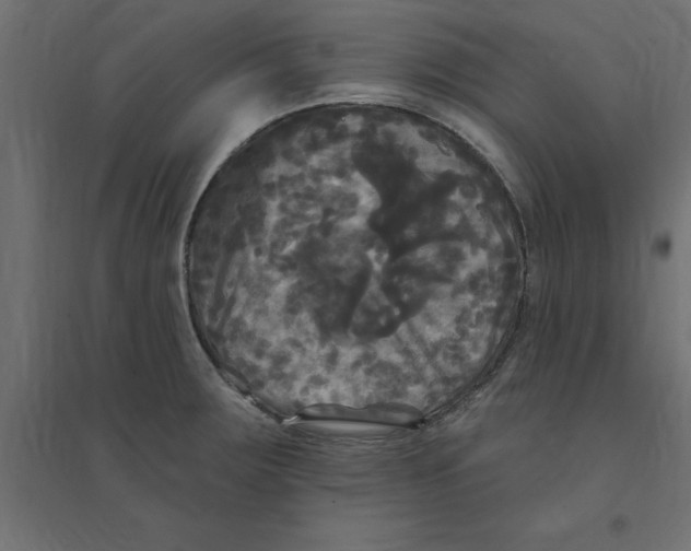 X0000094351283200711241907