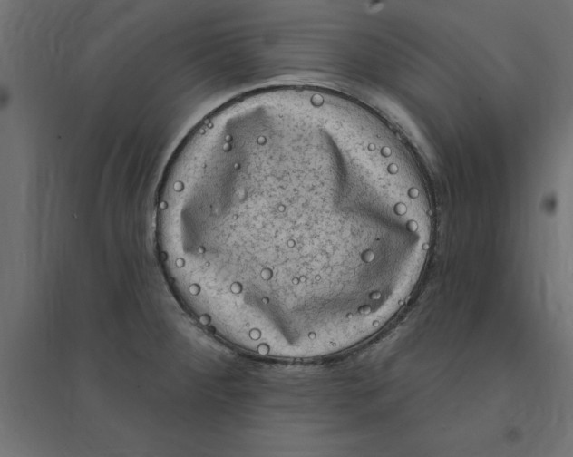 X0000094351284200711241907