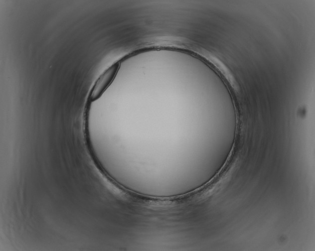 X0000094351285200711241907