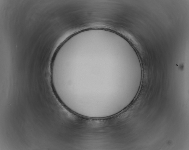 X0000094351286200711241907