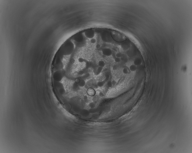 X0000094351287200711241907