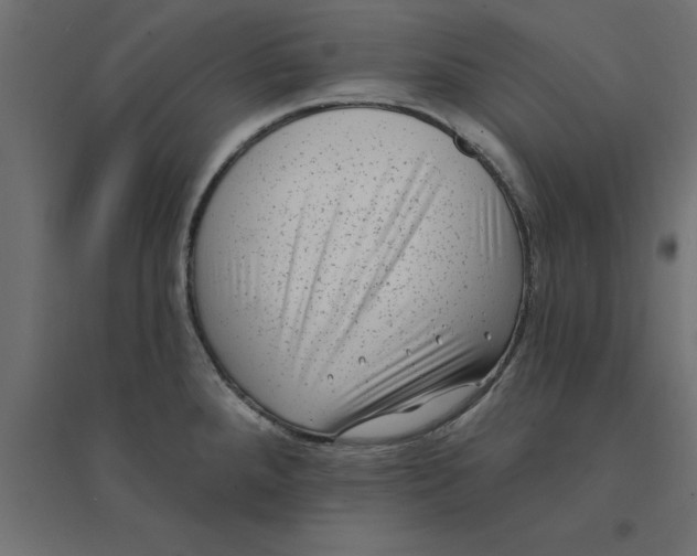 X0000094351288200711241907