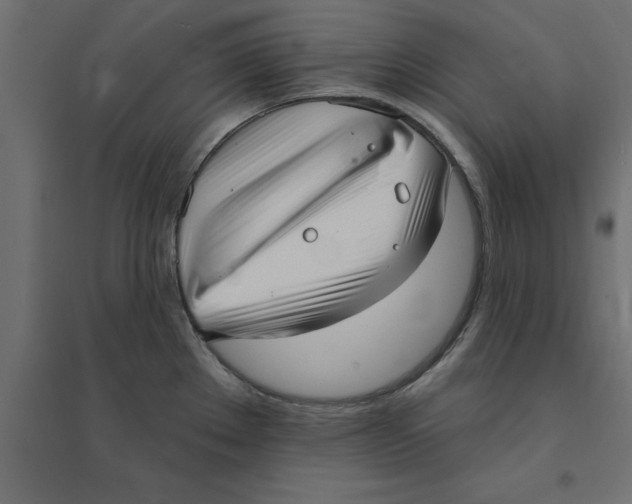 X0000094351289200711241906