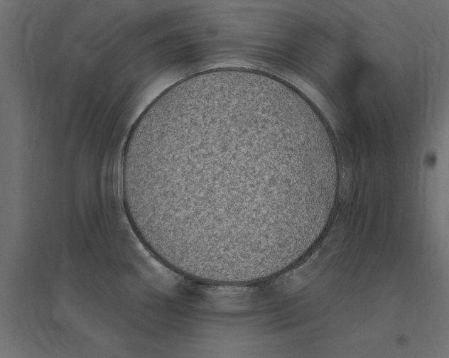 X0000094351290200711241906