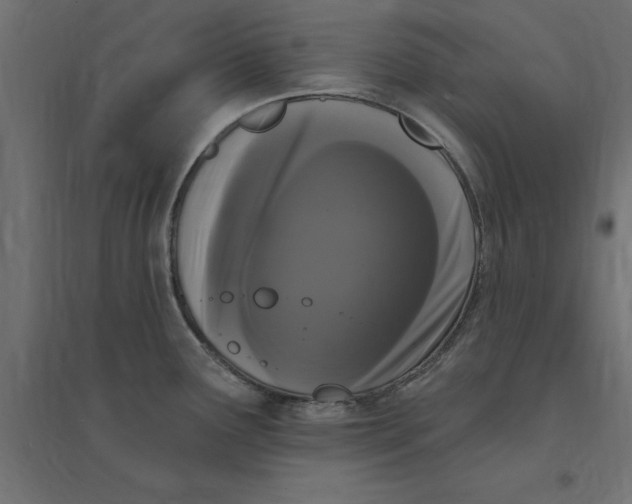 X0000094351291200711241906