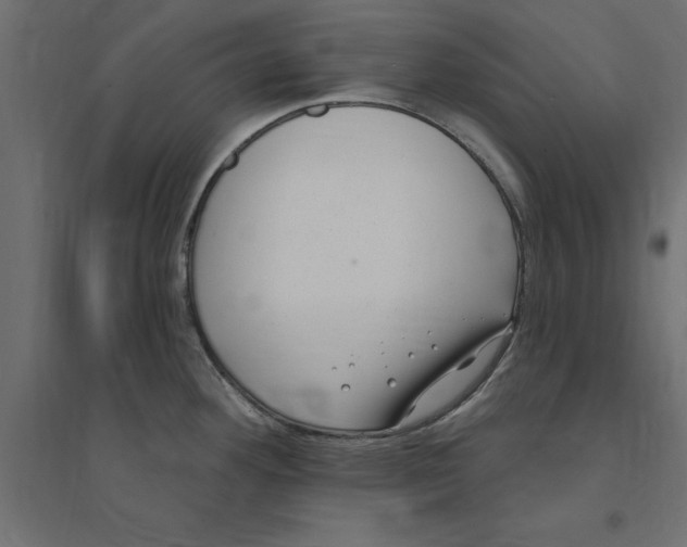 X0000094351292200711241906