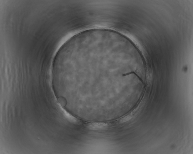 X0000094351294200711241906