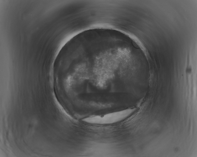 X0000094351295200711241906