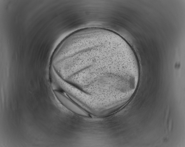 X0000094351296200711241906