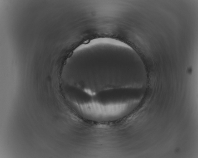 X0000094351297200711241906