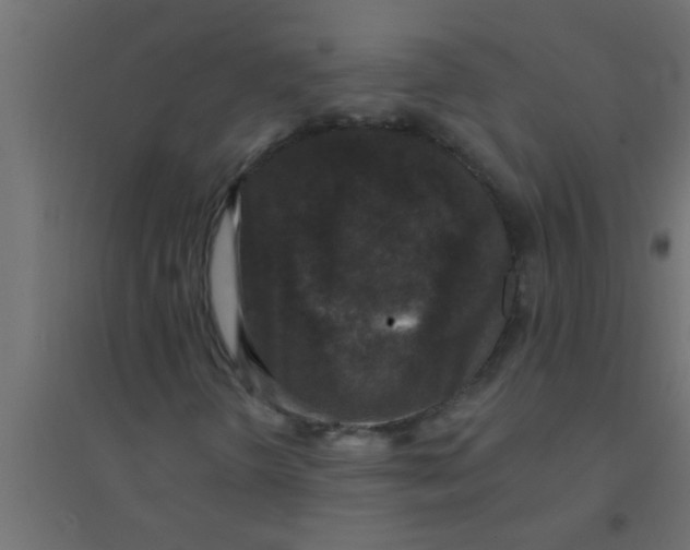 X0000094351298200711241906