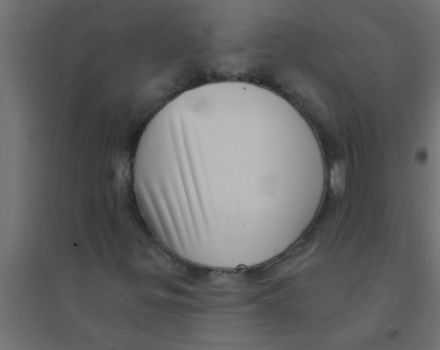 X0000094351299200711241906