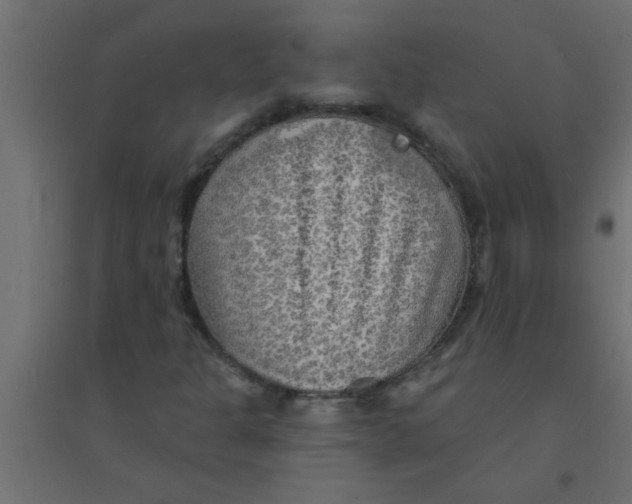 X0000094351301200711241906