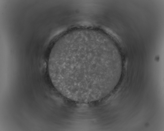 X0000094351302200711241906