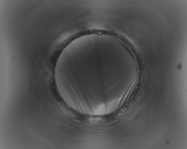 X0000094351303200711241906