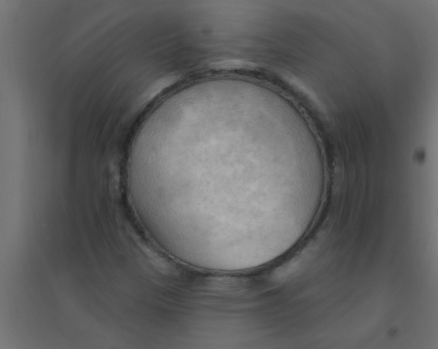 X0000094351305200711241906