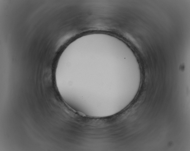 X0000094351307200711241906