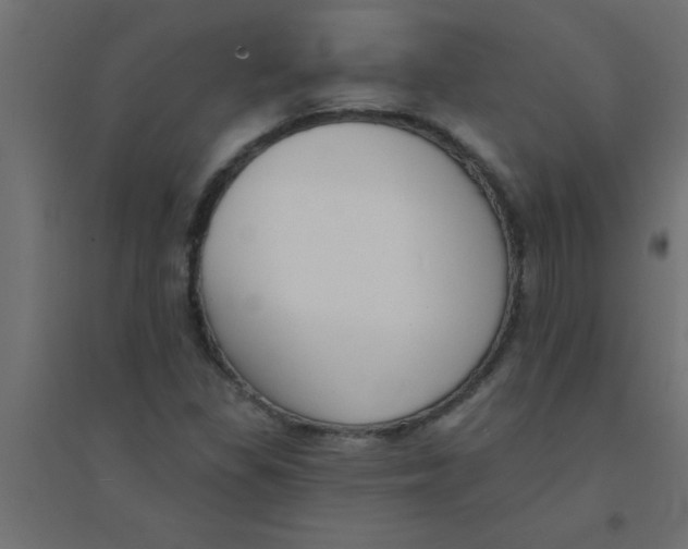 X0000094351309200711241906