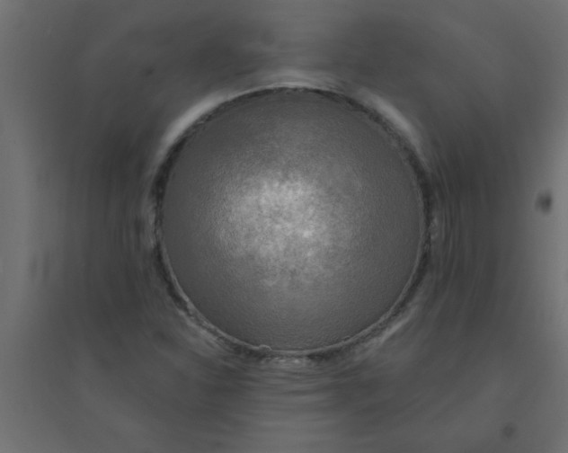 X0000094351310200711241906