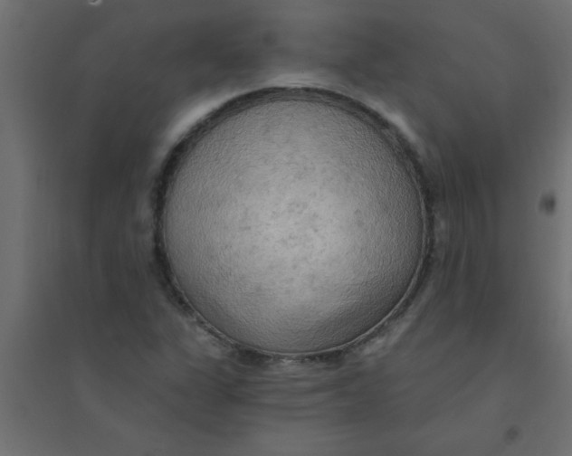 X0000094351311200711241906