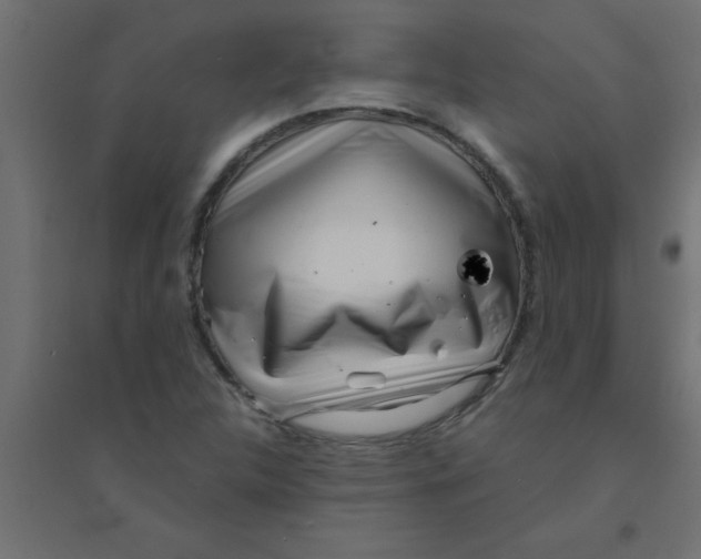 X0000094351312200711241906