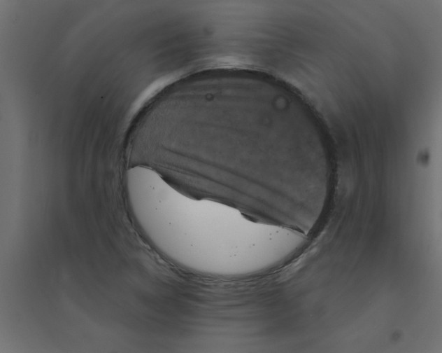 X0000094351314200711241906