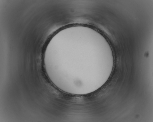 X0000094351315200711241906