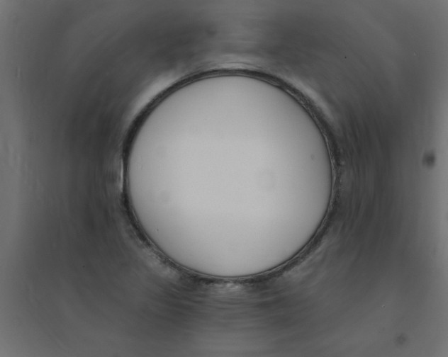 X0000094351317200711241906