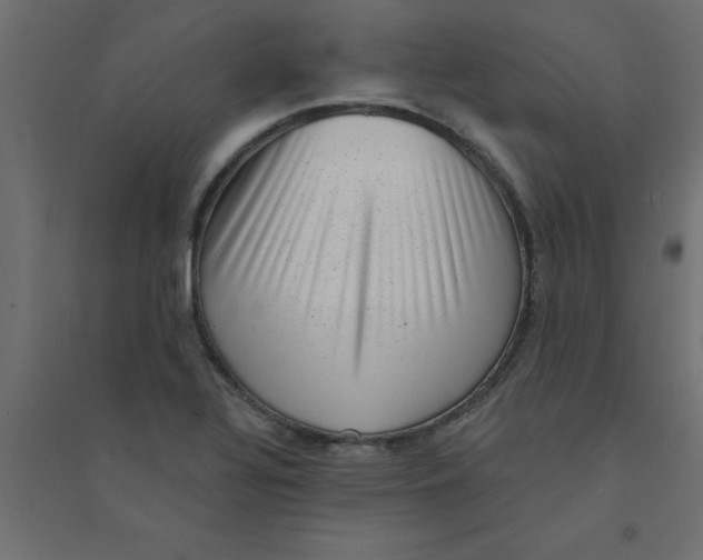 X0000094351320200711241906