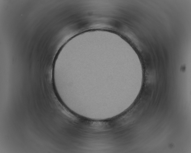 X0000094351322200711241906